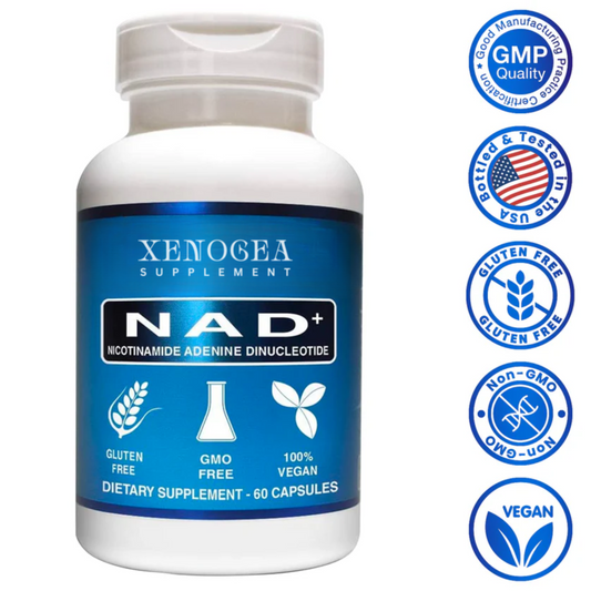 NAD+ Nicotinamide Adenine Dinucleotide 250mg